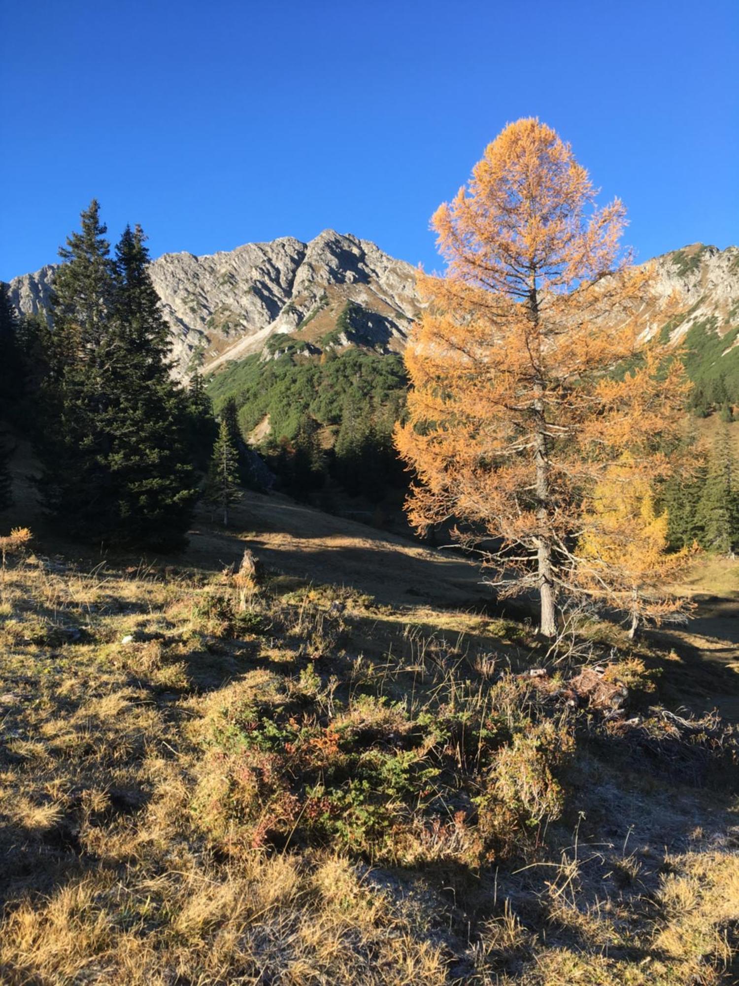Appart Tramontana Buerserberg Exterior photo
